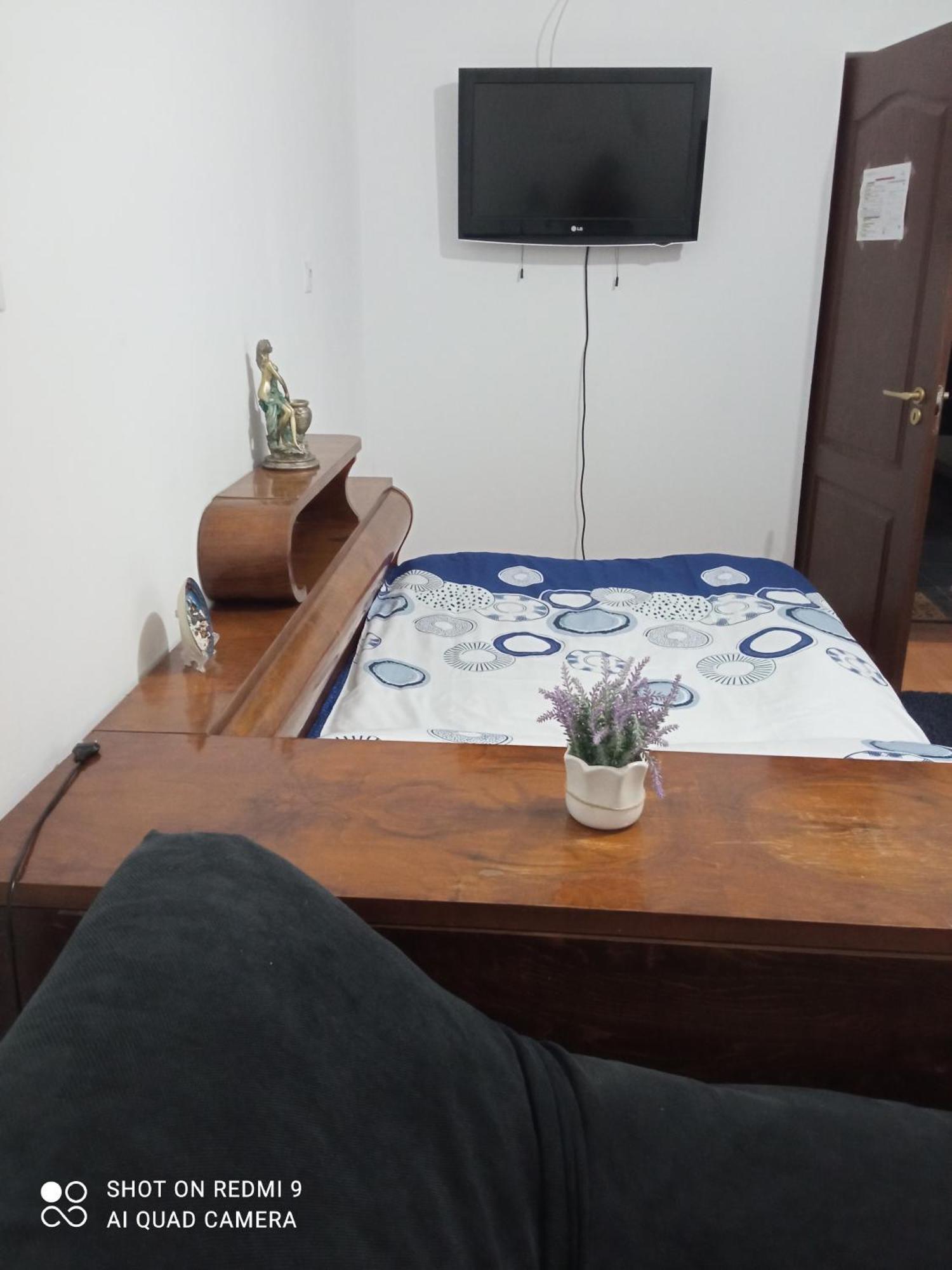 Pensiunea Dodo Patarlagele Chambre photo