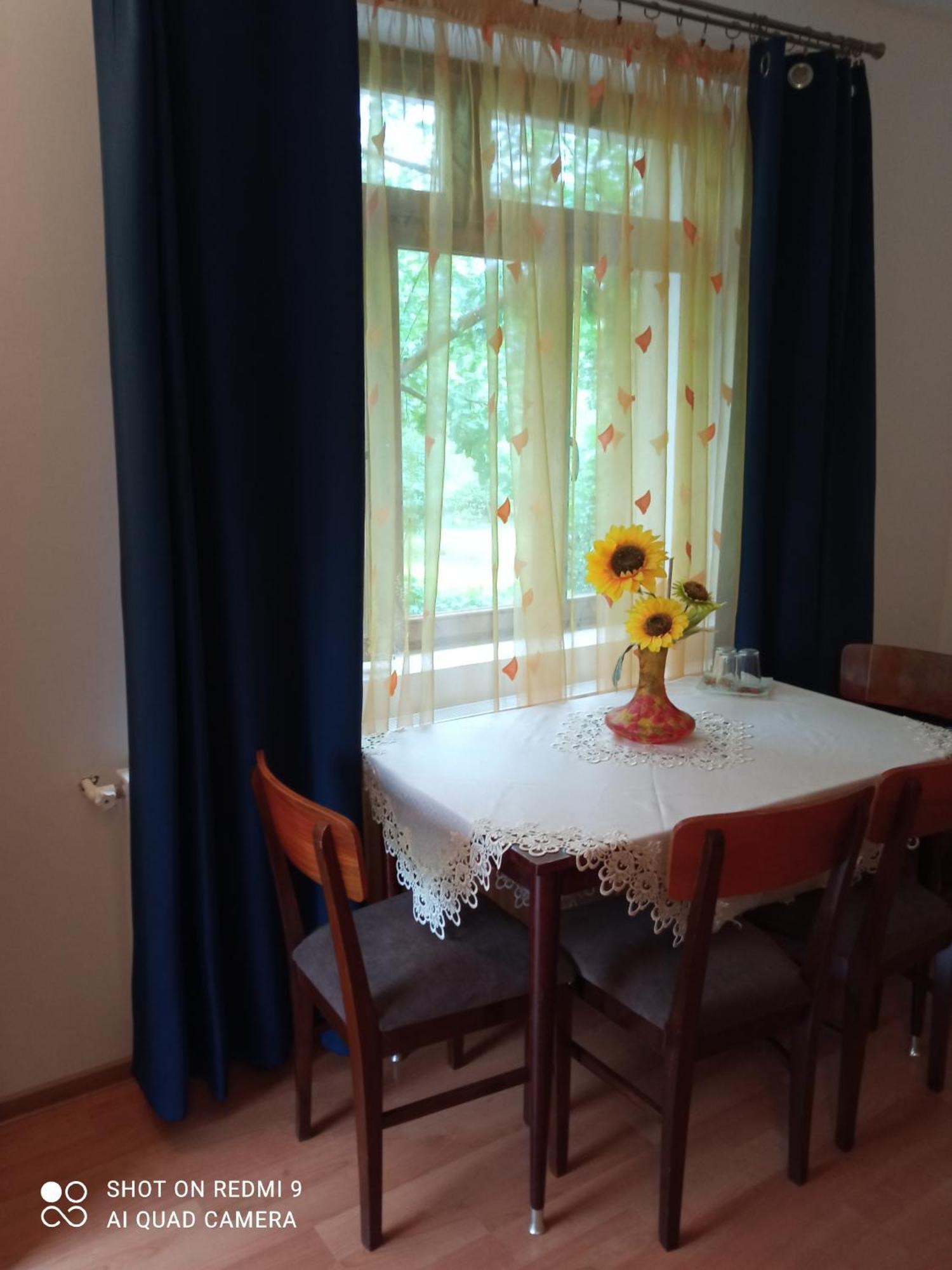 Pensiunea Dodo Patarlagele Chambre photo